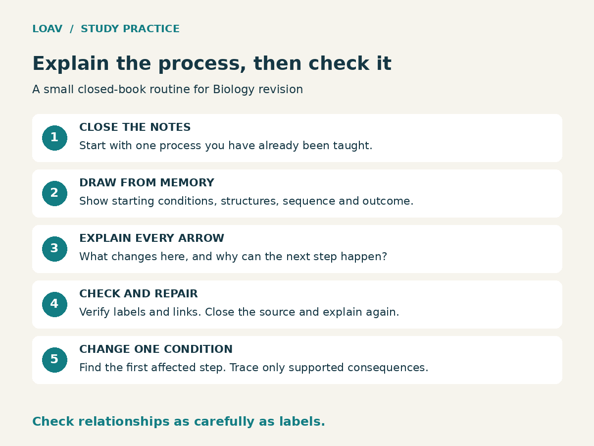 Five-step Biology revision routine: close notes, draw starting conditions, structures, sequence and outcome from memory, explain arrows, check and repair, then change one condition.